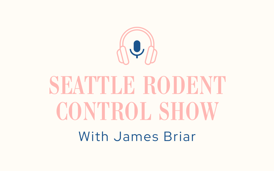 What diseases do rodents commonly spread in Seattle?