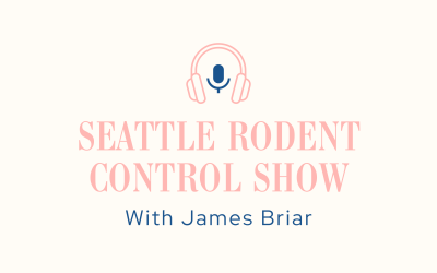 What are the benefits of regular pest inspections for Seattle homeowners?